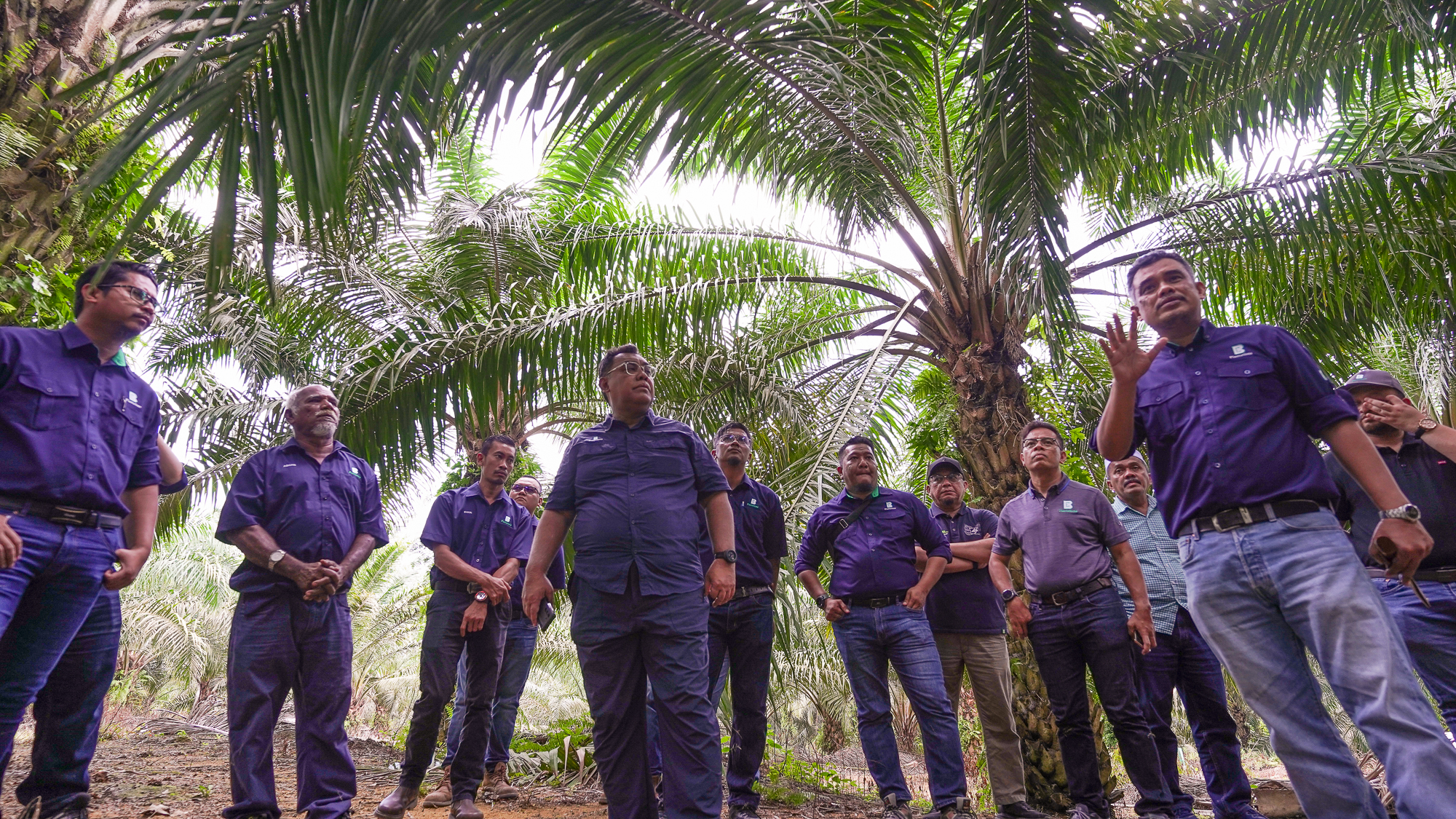 CEO reminds importance of effective management – Boustead Plantations